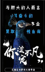 花猫云商_截图3