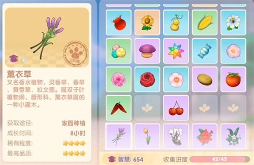 摩尔庄园魔法师在哪些副本中更加出色