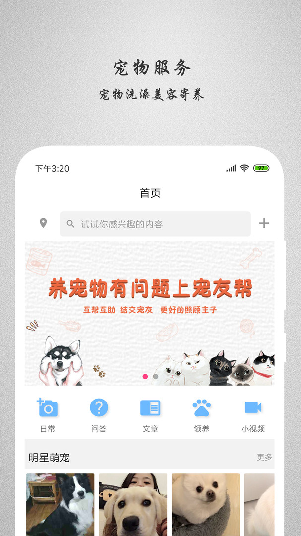 宠友帮_截图1