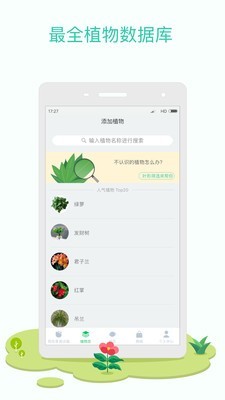 花花草草