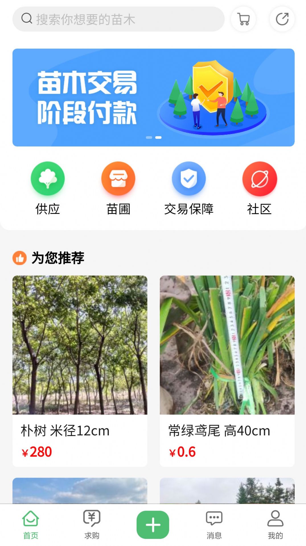 苗青青_截图2