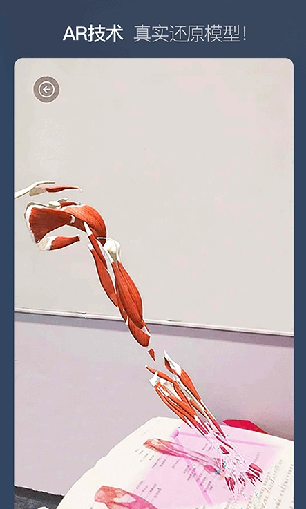 维萨里3d解剖