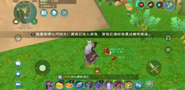 创造与魔法魔法蝾螈和稳定包的数量有多少