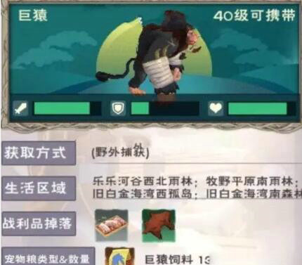 创造与魔法魔法蝾螈和稳定包的数量有多少