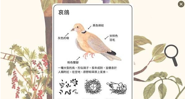 小棕鼠的自然生态百科