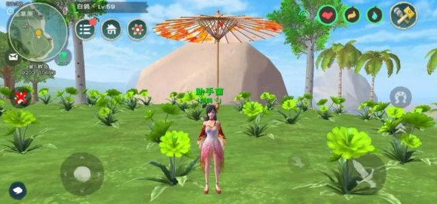 想知道创造与魔法红枫种子的获取方法