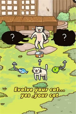 猫的进化世界