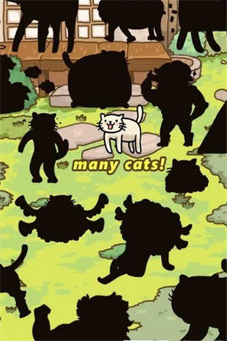猫的进化世界