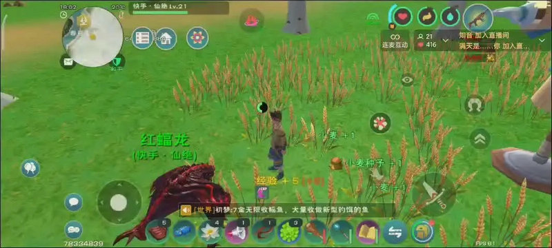 创造与魔法沙漠狼有多少极品天赋 创造与魔法沙漠狼有多少极品天赋