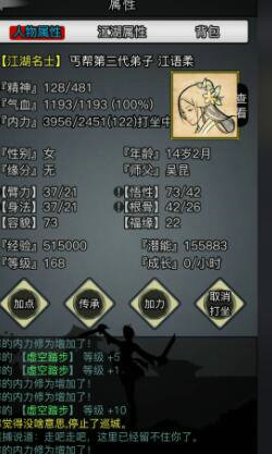 放置江湖江湖快速升级1000级是否可行