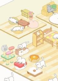 猫真可爱