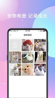 宠物猫狗交流_截图1