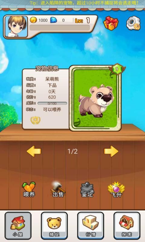 宠物小镇