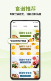 懒人轻断食
