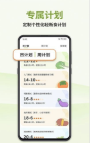 懒人轻断食