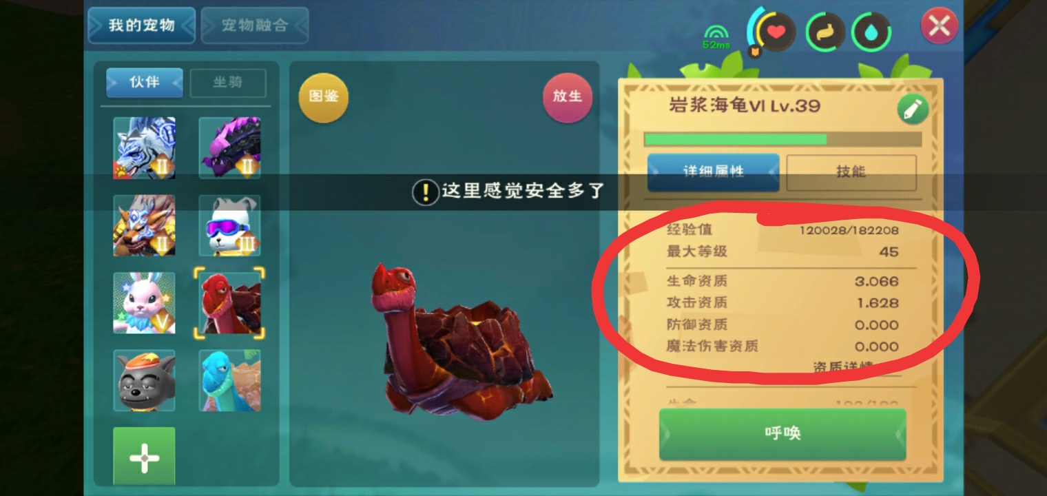 创造与魔法中骑马技巧的秘密是什么
