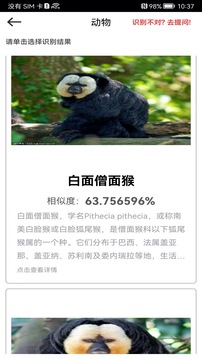 万能拍照识别
