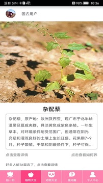 万能拍照识别