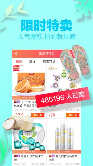 呆猫
