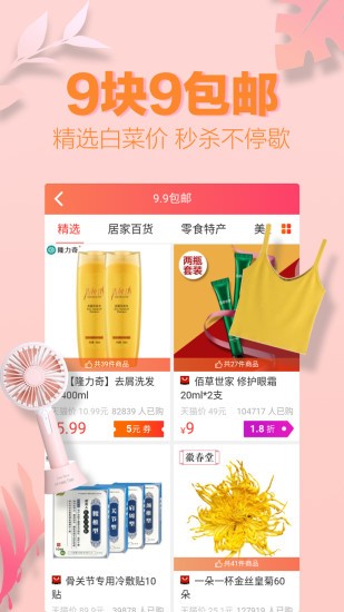 呆猫