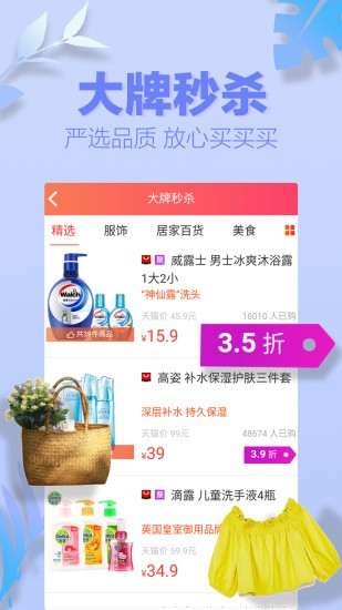 呆猫