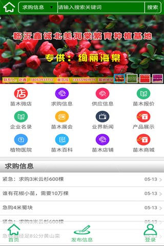 vip苗木网