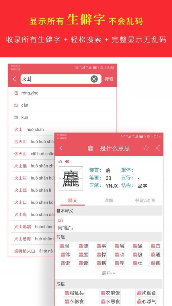 汉语字典专业版_截图1
