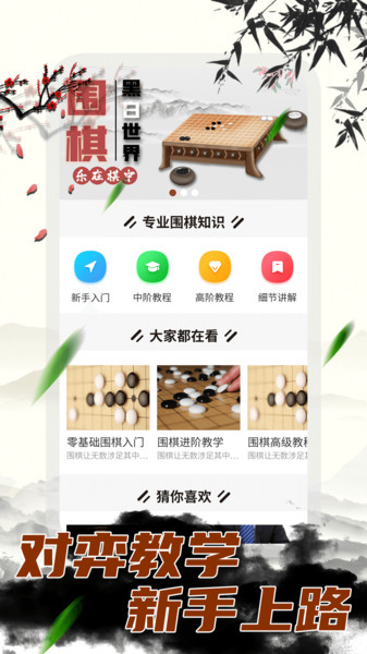 超级围棋大师