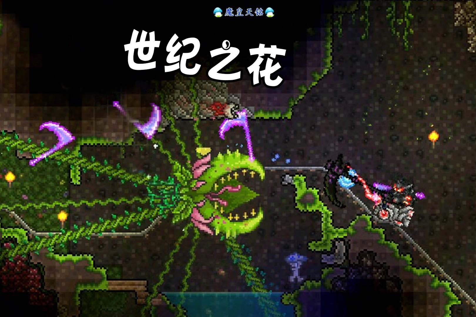 泰拉瑞亚专家前期如何与其他玩家合作