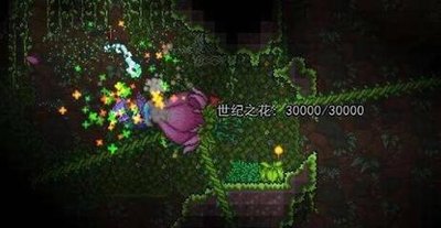 泰拉瑞亚游戏饰品的装备方法
