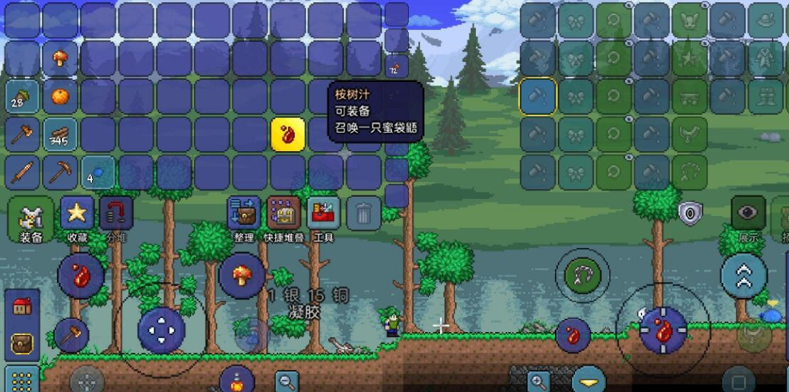 怎样正确搭配泰拉瑞亚甲虫套配饰 怎样正确搭配泰拉瑞亚甲虫套配饰
