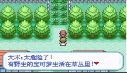 口袋妖怪火红彩虹市道馆的入口在哪里