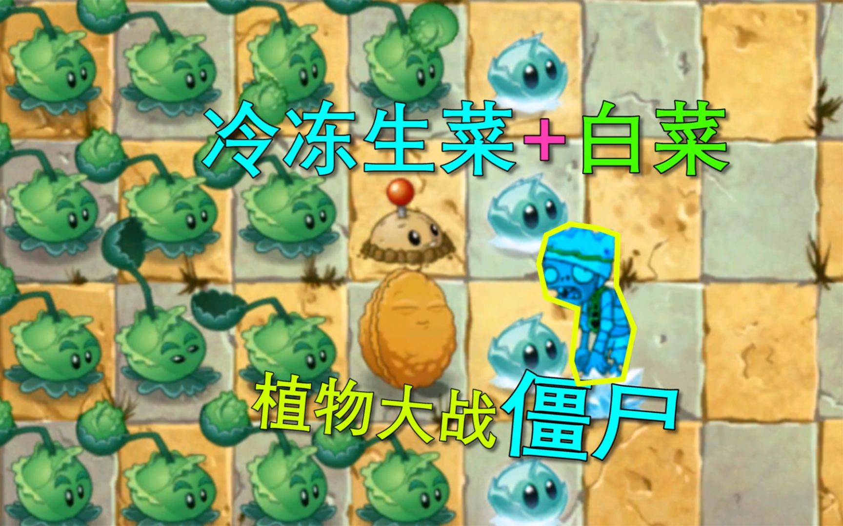 植物大战僵尸攻略4-6关怎么过 植物大战僵尸攻略4-6关怎么过