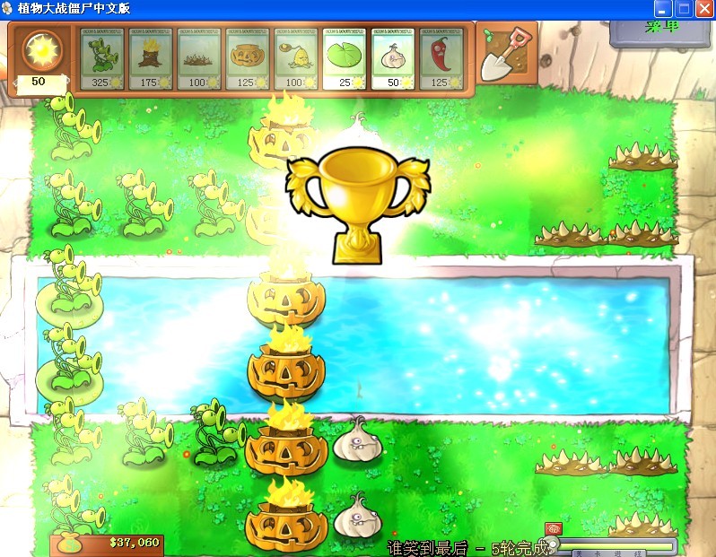 如何玩植物大战僵尸95版