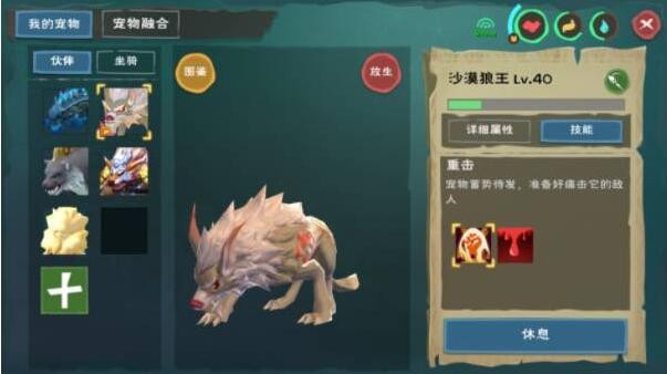 创造与魔法圣焰篝火怎么做