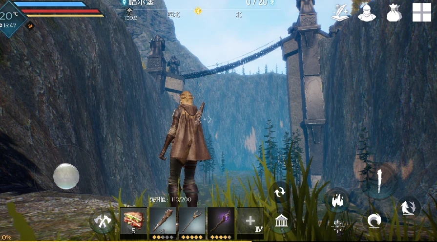 如何安全地抓住黑暗与光明双足飞龙