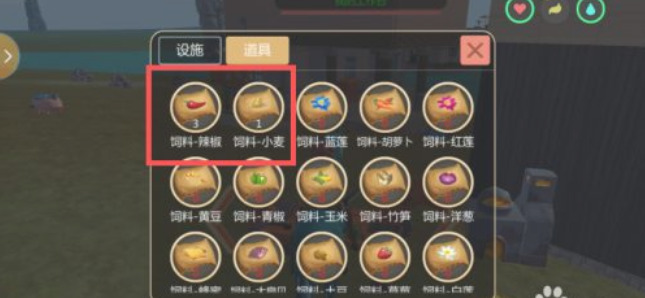 寻找创造与魔法里的雅安河辣椒 寻找创造与魔法里的雅安河辣椒