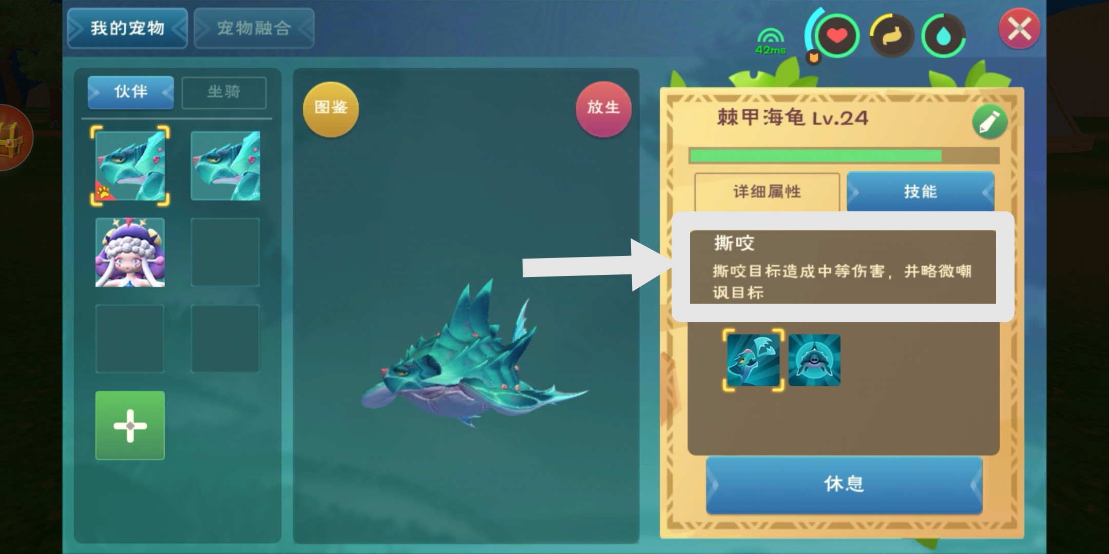 创造与魔法中骑马技巧的秘密是什么