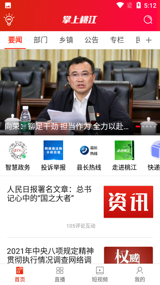 掌上桃江
