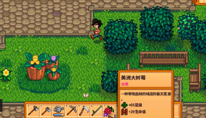 星露谷物语姜岛博物馆怎么解锁