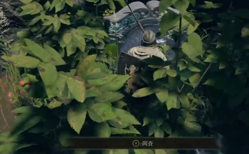 艾尔登法环有哪些流派 艾尔登法环有哪些流派