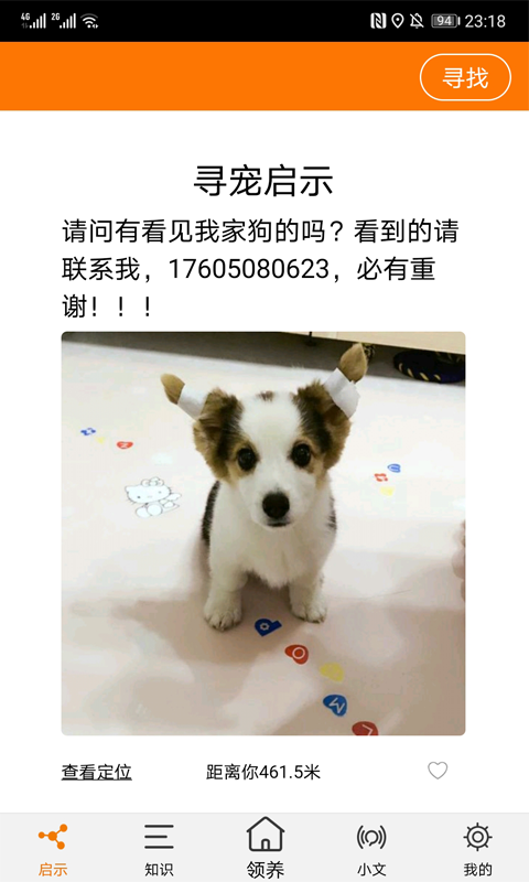 宠物公益