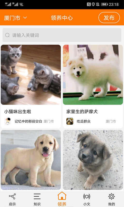 宠物公益