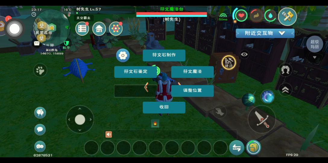 驯服创造与魔法熊需要什么技巧