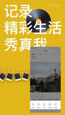 dnaer叮了