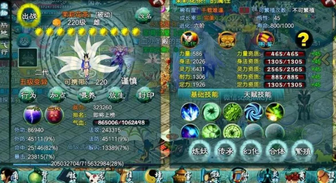 忘仙圣魂领域任务的奖励是什么