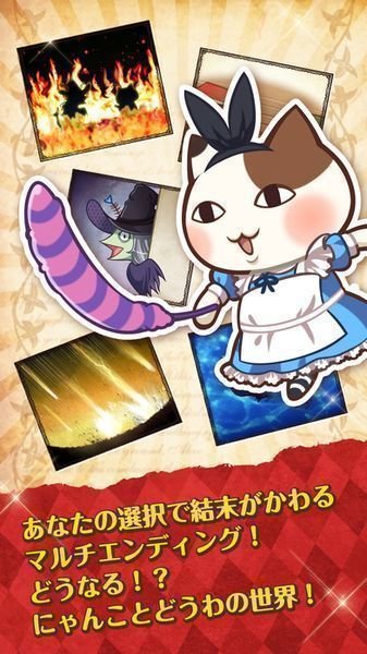 童话王国的猫咪