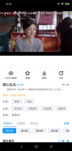 麻花影视播放器