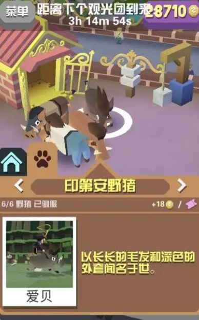 疯狂动物园里牛的数量有多少 疯狂动物园里牛的数量有多少