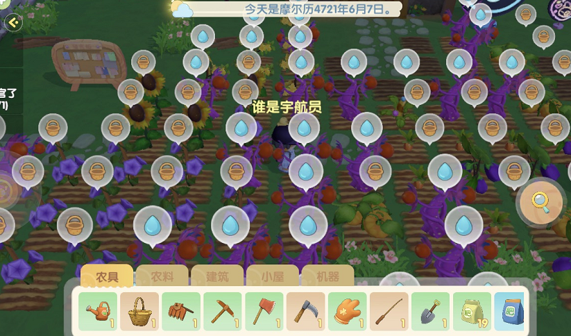 摩尔庄园牧场羊圈有多少只羊